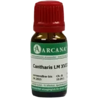 CANTHARIS ARCA LM 18