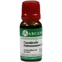CAUSTICUM ARCA LM 6