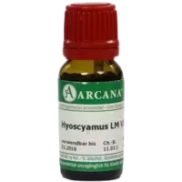 HYOSCYAMUS ARCA LM 6