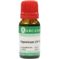 HYPERICUM ARCA LM 6