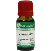 LACHESIS ARCA LM 6