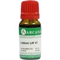 LEDUM ARCA LM 6