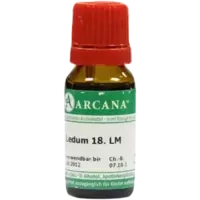 LEDUM ARCA LM 18