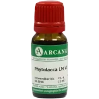 PHYTOLACCA ARCA LM 6