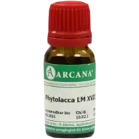 PHYTOLACCA ARCA LM 18