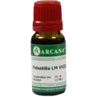 PULSATILLA ARCA LM 18