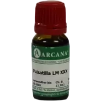 PULSATILLA ARCA LM 30