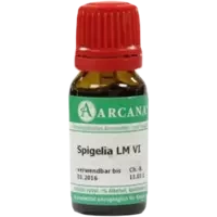 SPIGELIA ARCA LM 6