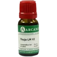 THUJA ARCA LM 6