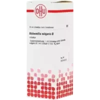 ALCHEMILLA VULG URT