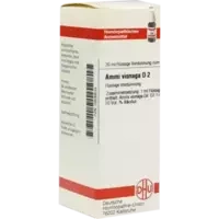 AMMI VISNAGA D 2
