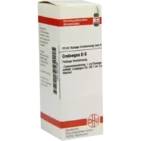 CRATAEGUS D 6