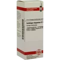 SOLIDAGO VIRGA D 1