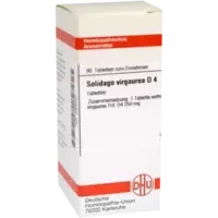 SOLIDAGO VIRGA D 4