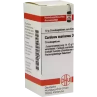 CARDUUS MAR D 6