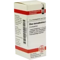 RHUS TOX D10