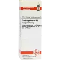 CARDIOSPERMUM D 6