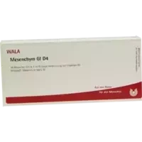 MESENCHYM GL D 4