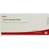 ARTERIA CORONARIA GL D 6