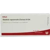 GLANDULA SUPR (COR) GL D 4