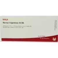 NERVUS TRIGEMINUS GL D 6