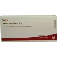 VESICA URINARIA GL D30