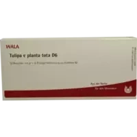 TULIPA E PLANTA TOTA D 6