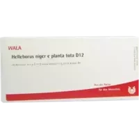 HELLEBORUS NIG E PL TO D12