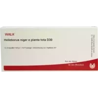 HELLEBORUS NIG E PL TO D30