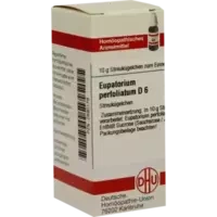 EUPATORIUM PERF D 6