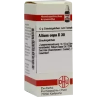 ALLIUM CEPA D30