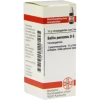 BELLIS PERENNIS D 6