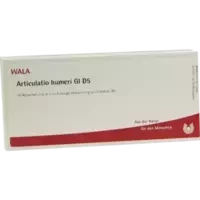 ARTICULATIO HUMERI GL D 5