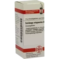 SOLIDAGO VIRGA D 6