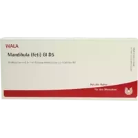 MANDIBULA (FETI) GL D 5