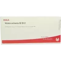 VESICA URINARIA GL D12