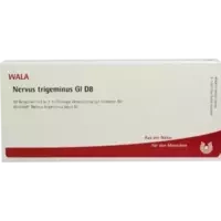 NERVUS TRIGEMINUS GL D 8