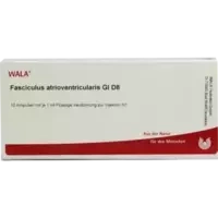 FASCICULUS ATRIOVEN GL D 8