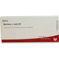 BAMBUSA E NODO D 3