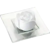 Duftstein Rosenblüte Glasteller transparent