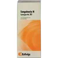 Synergon Kompl Sanguinaria N Nr.85