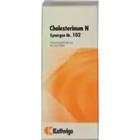 Synergon Kompl Cholesterinum N Nr.102