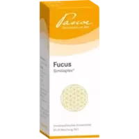 FUCUS SIMILIAPLEX