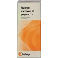 Synergon Kompl Teucrium Urtinktur Nr.15
