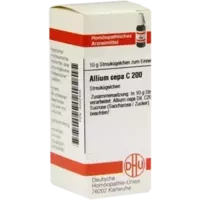 ALLIUM CEPA C200