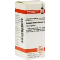 ARUNDO MAURITAN D 6