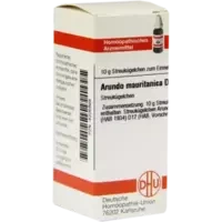 ARUNDO MAURITAN D12