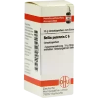 BELLIS PERENNIS C 6