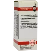 CICUTA VIROSA D30