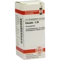 CLEMATIS C30